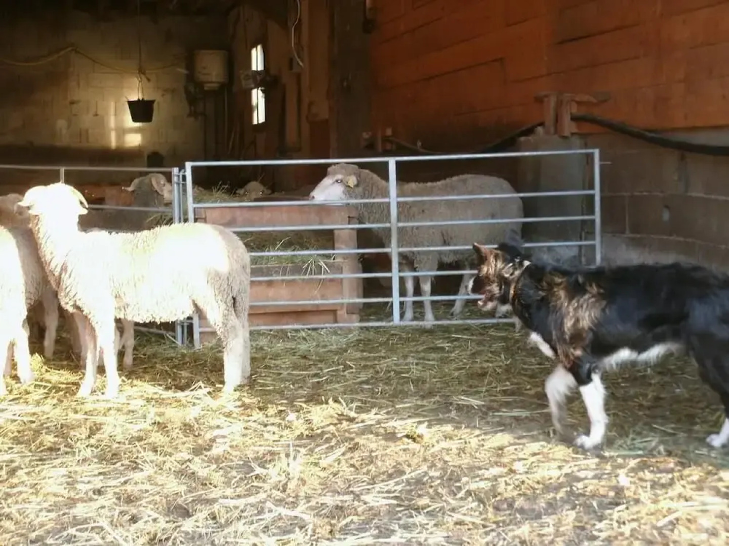 gîtes à la ferme dela le var