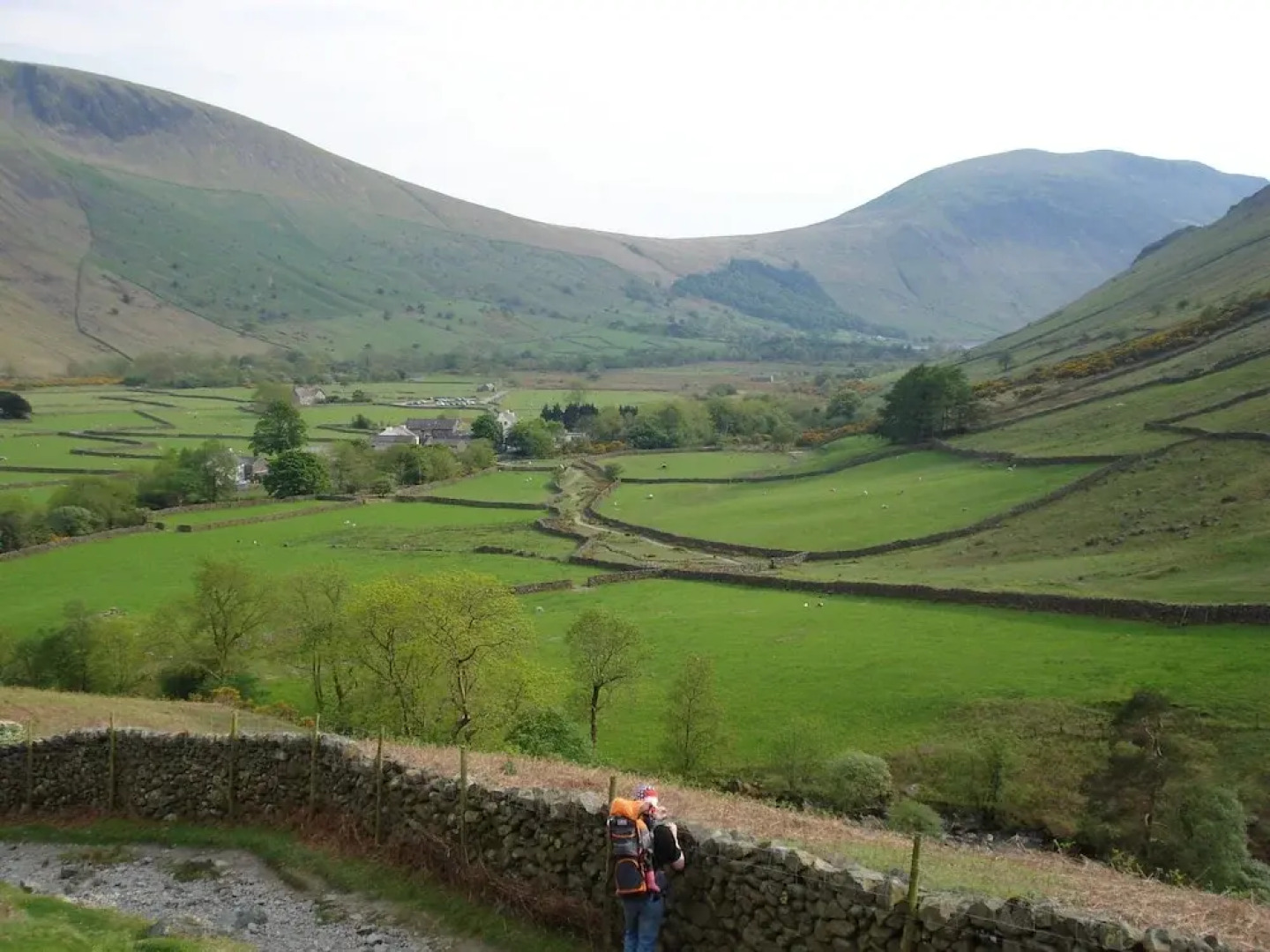 Lutwidge Arms Limited