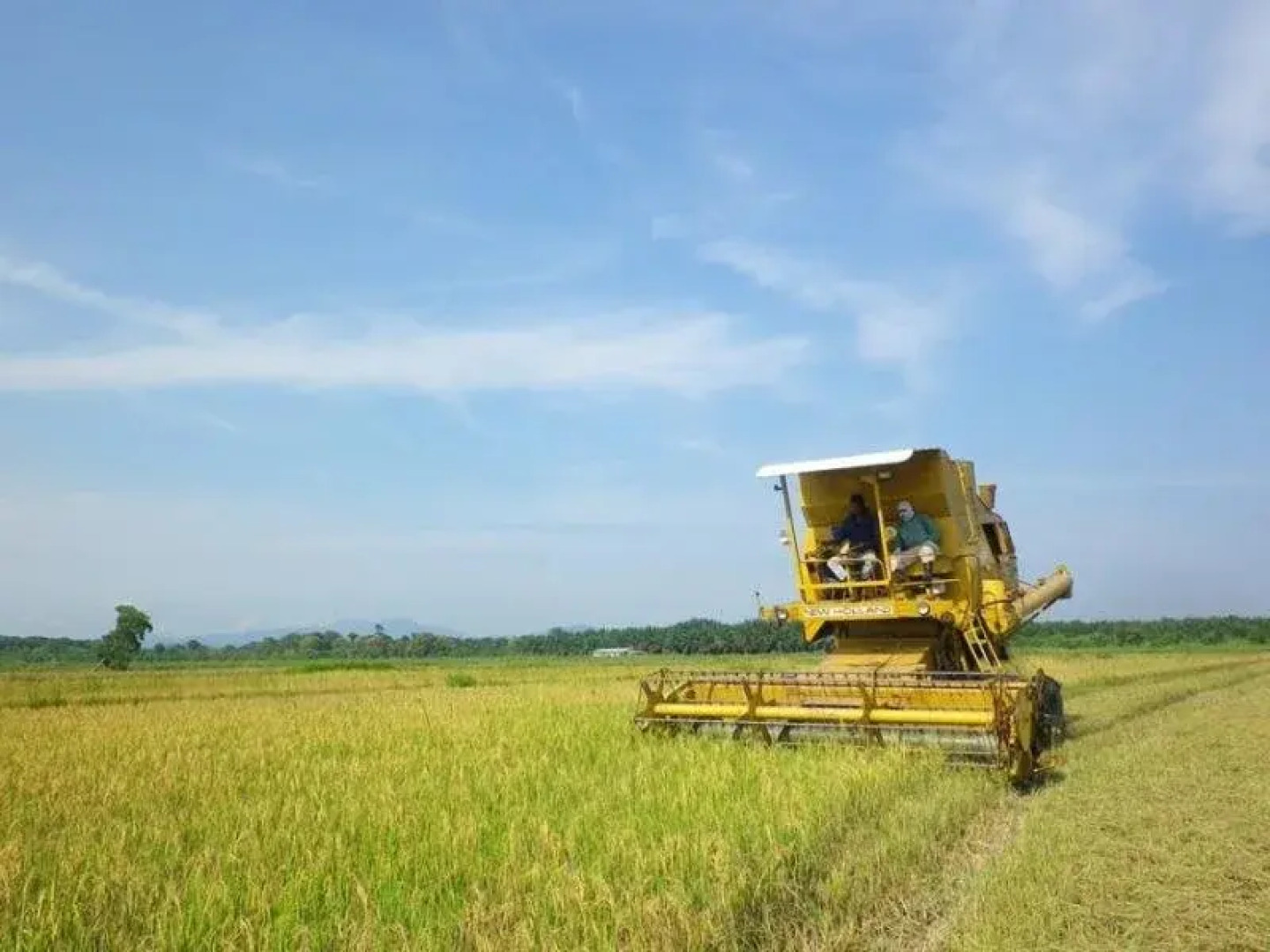 Kahang Organic Rice Eco Farm Resort