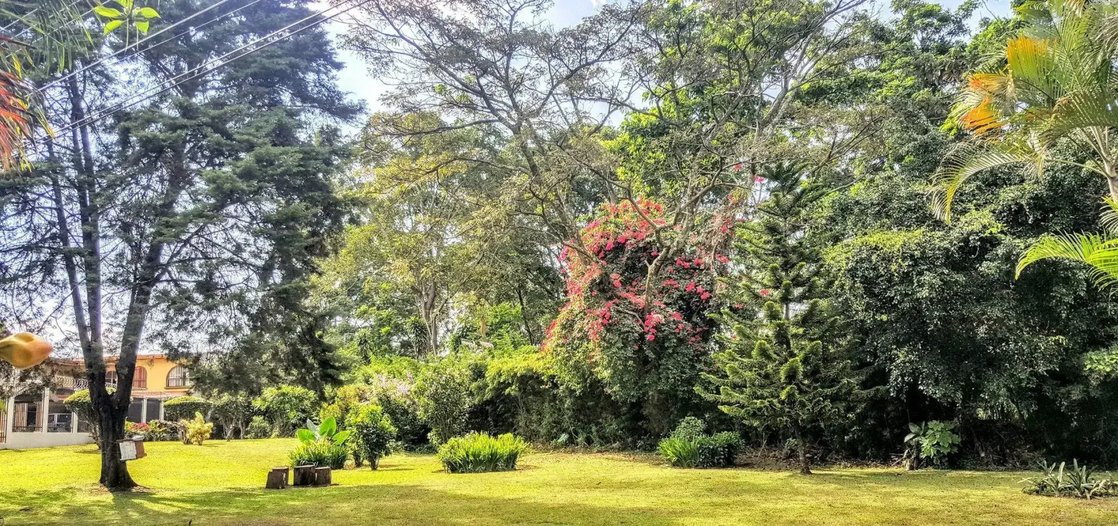 The Garden CR