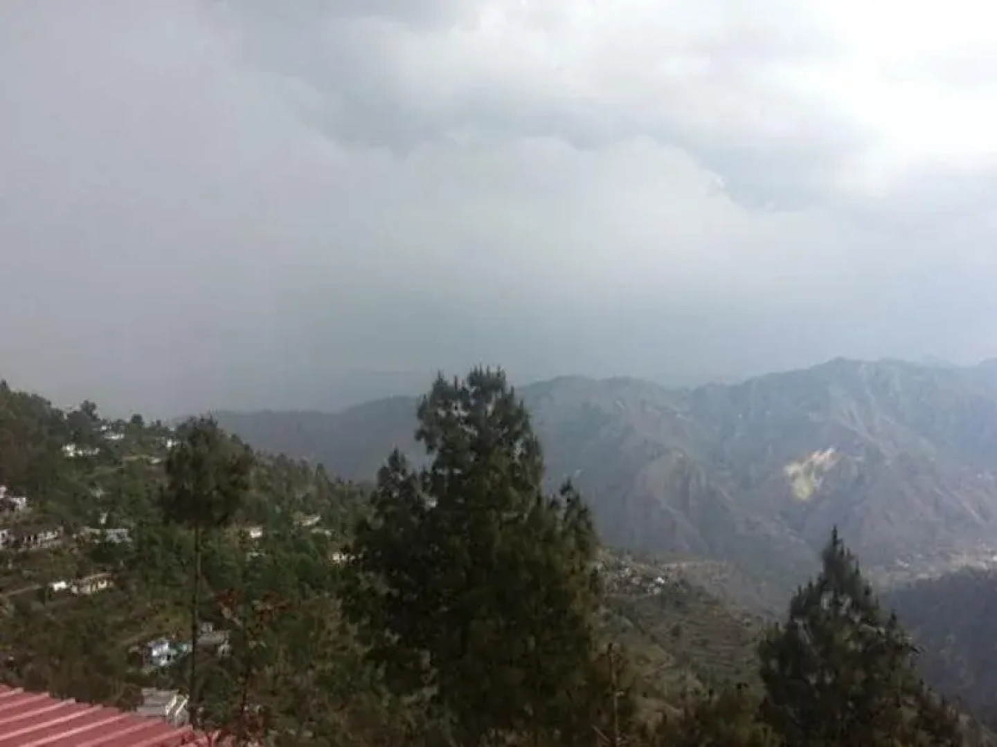 Bright Sunny Pines Hotels & Resort