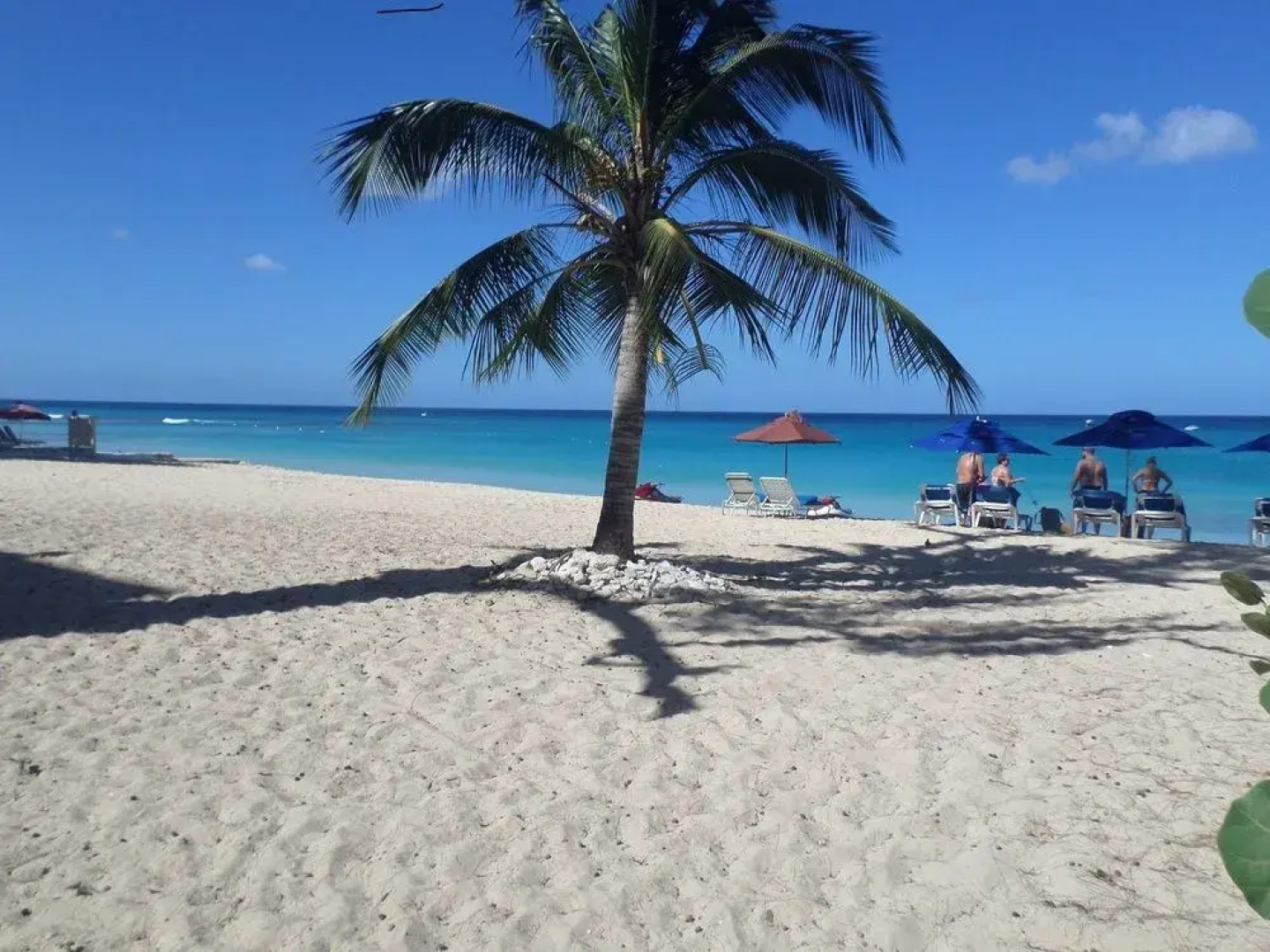 Annabelle's Apartments