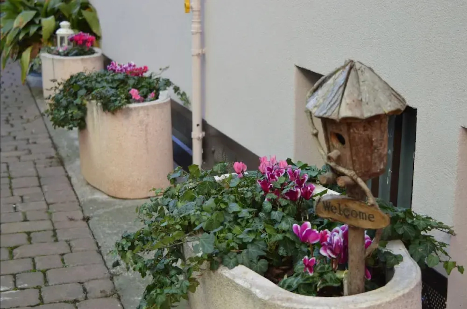 B&B La Vecchia Tipografia