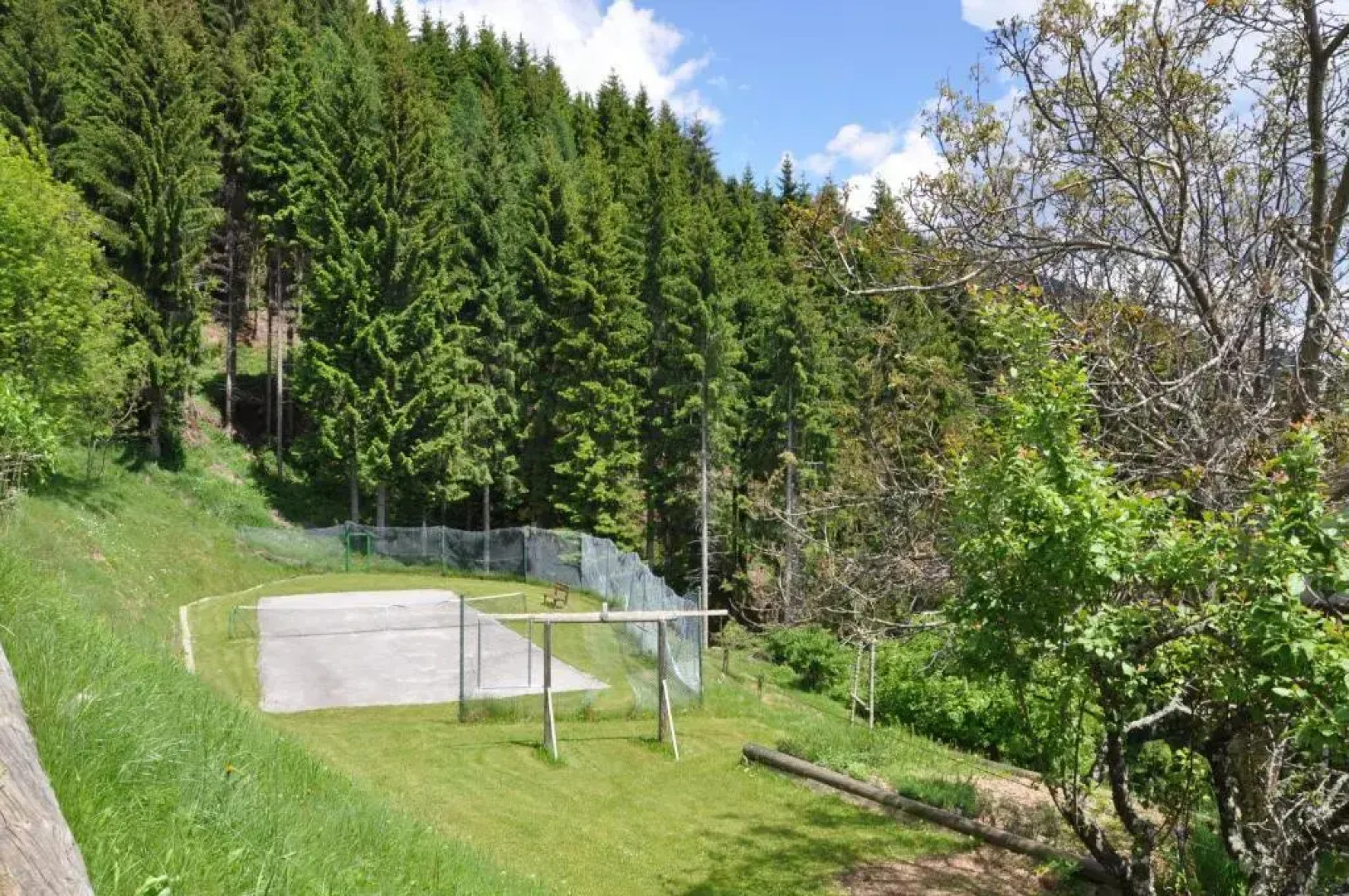 Almen-Kräuter-Oberreiter