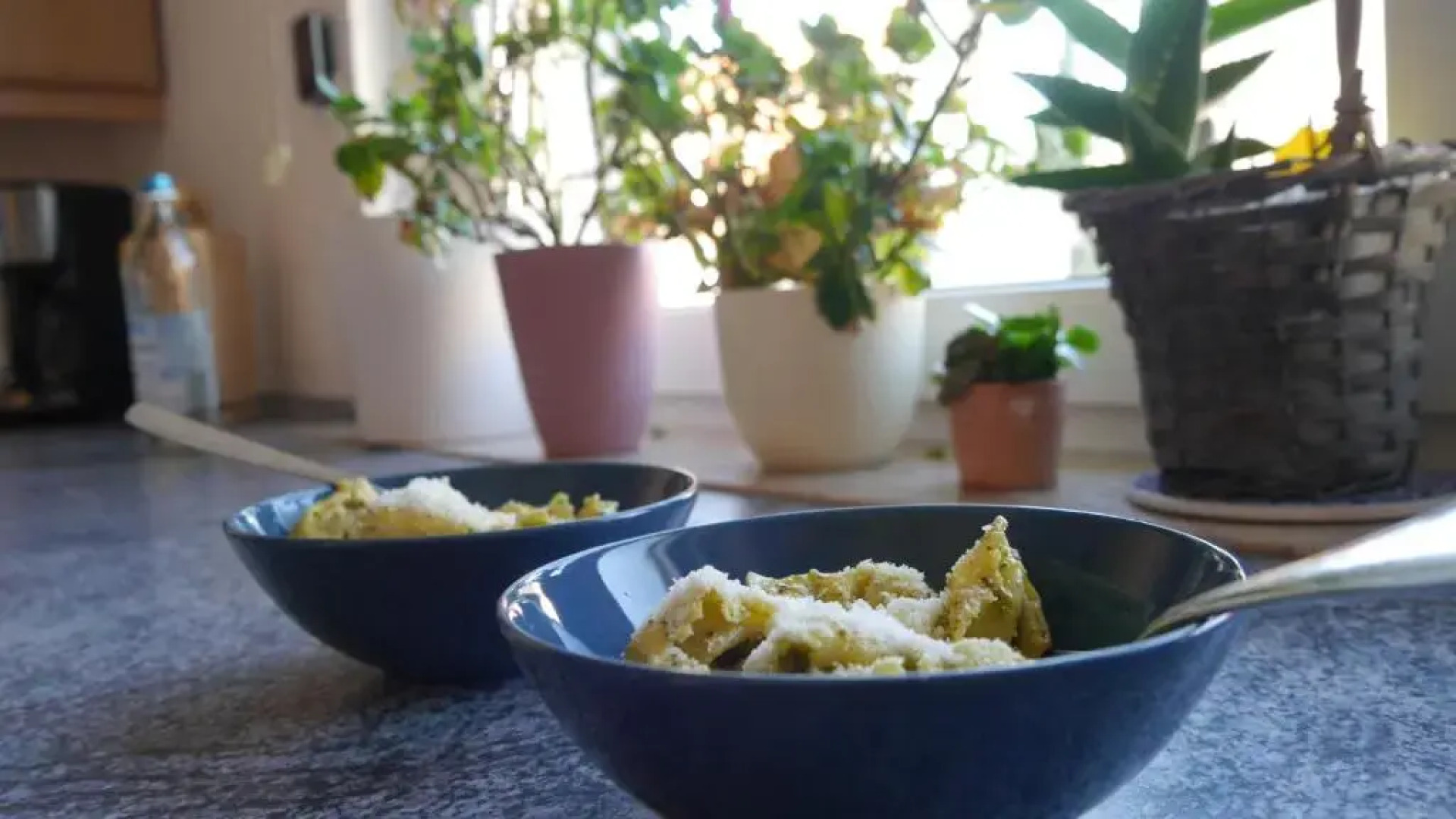 Großzügige Wohnung mit Herkulesblick nähe Uni