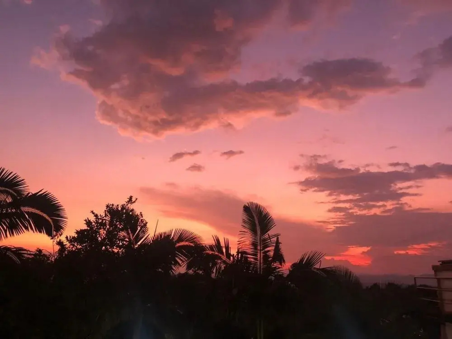 Finca Hotel Andaquies