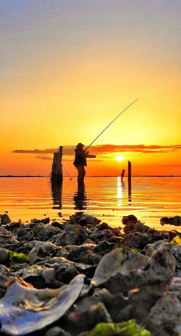 Exclusivo Chalet a Pie de Costa