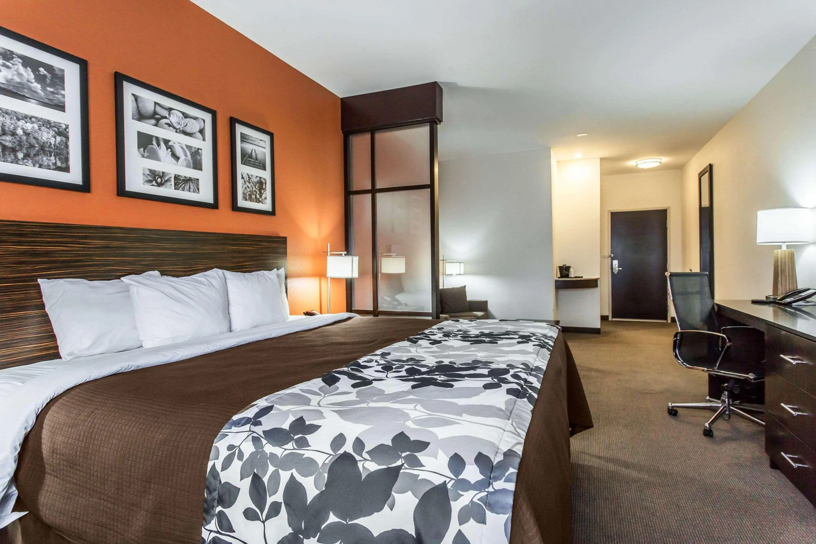 Sleep Inn & Suites Lubbock West