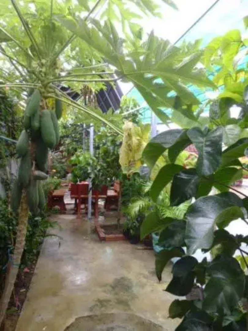 Mitapheap Guesthouse