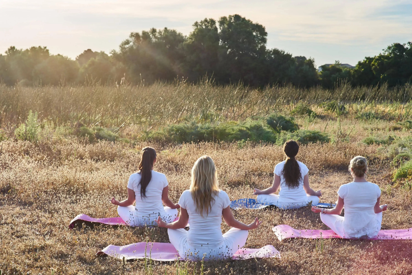 Zoetry Mallorca Wellness & Spa