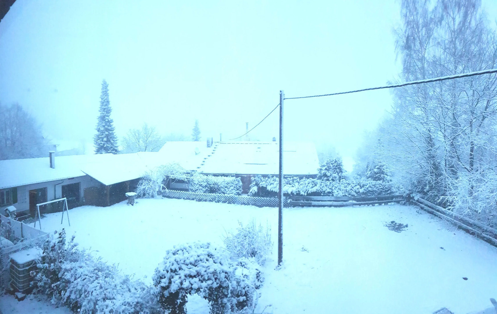 Eventhof Platzhirsch