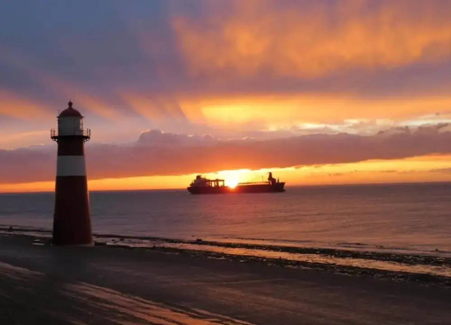 Pet-friendly Escape by the Sea