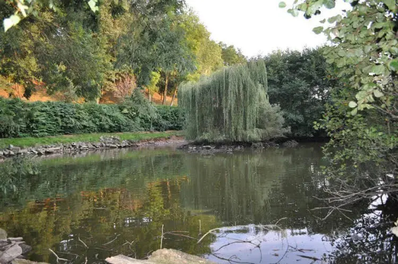 Black Mountain Lodge