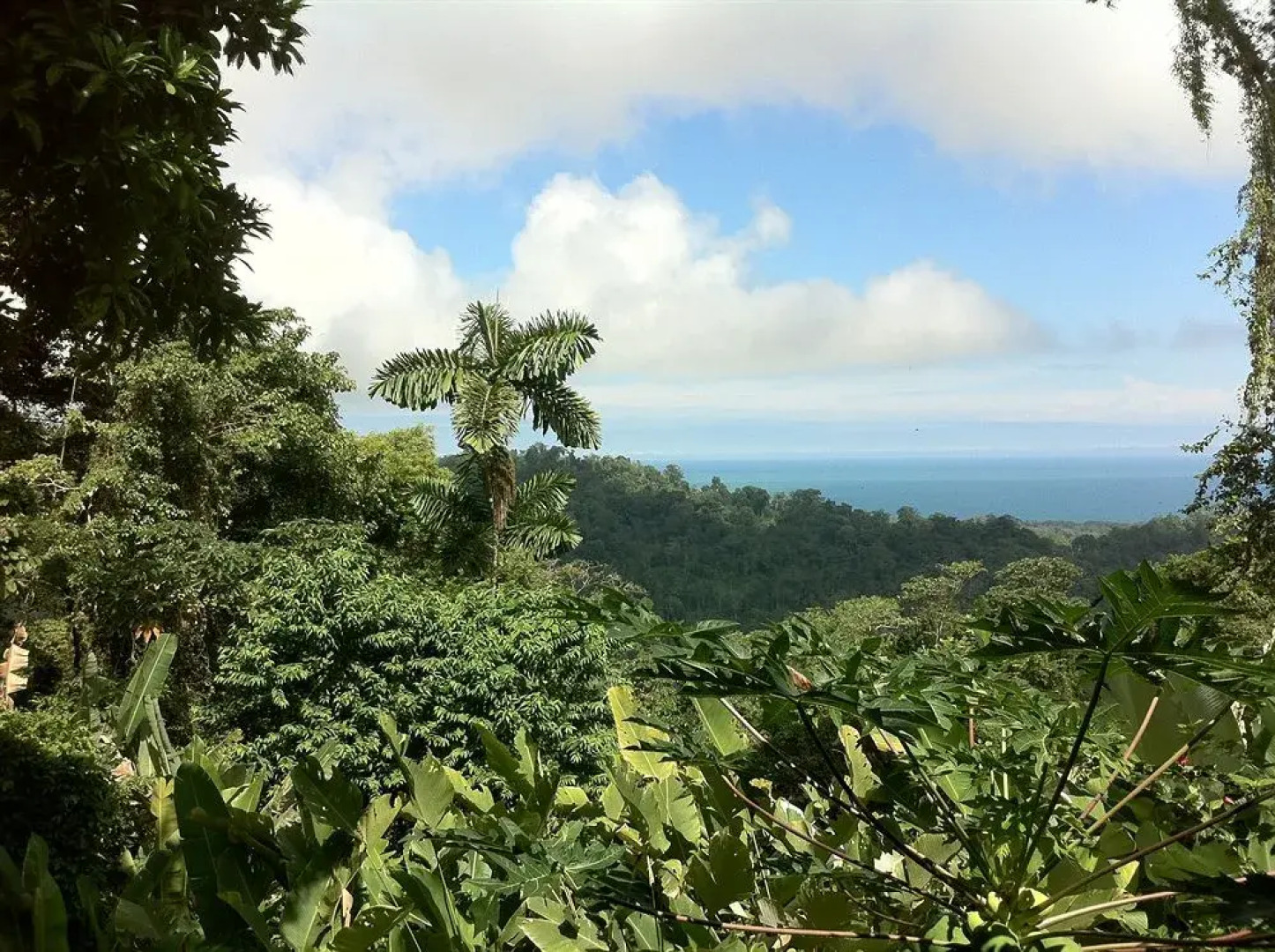 Samasati Yoga & Wellness Retreat