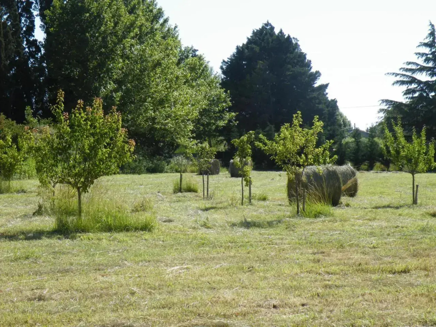 Maison de la Mascotte