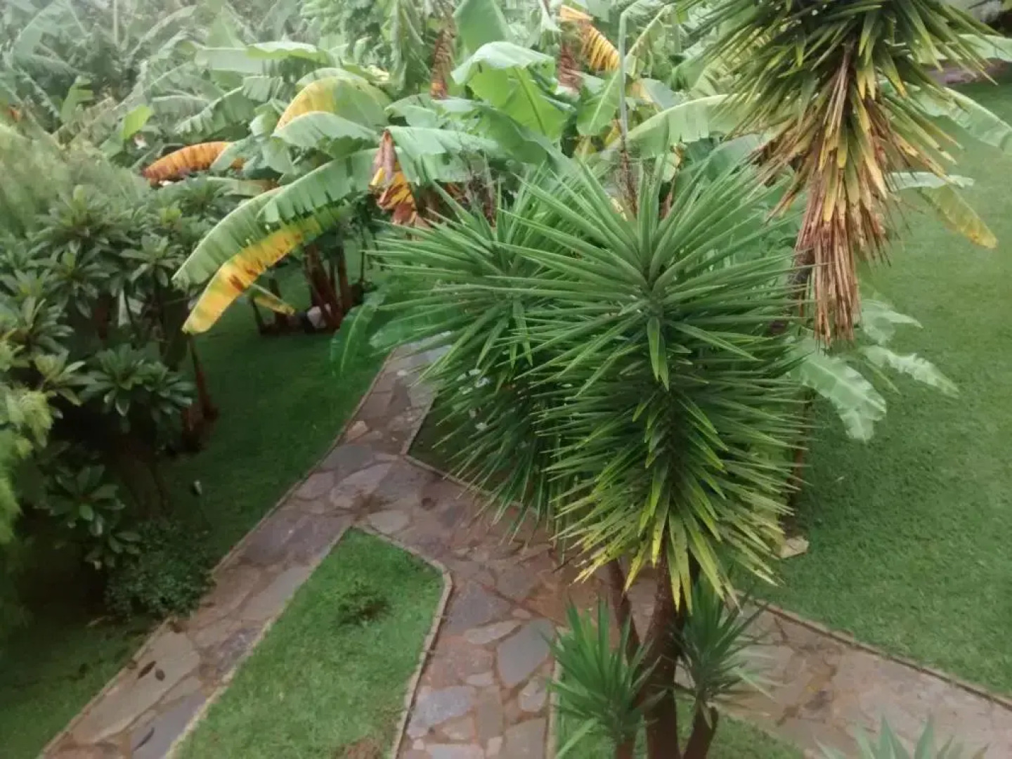 Pousada Banana Cipó