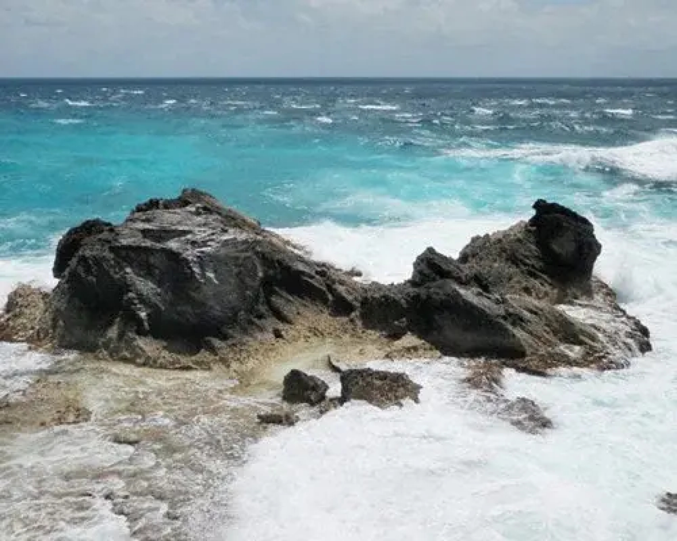 Festiva Sailing Vacations - Sint Maarten, Simpson Bay, St Maarten Dutch Caribbean