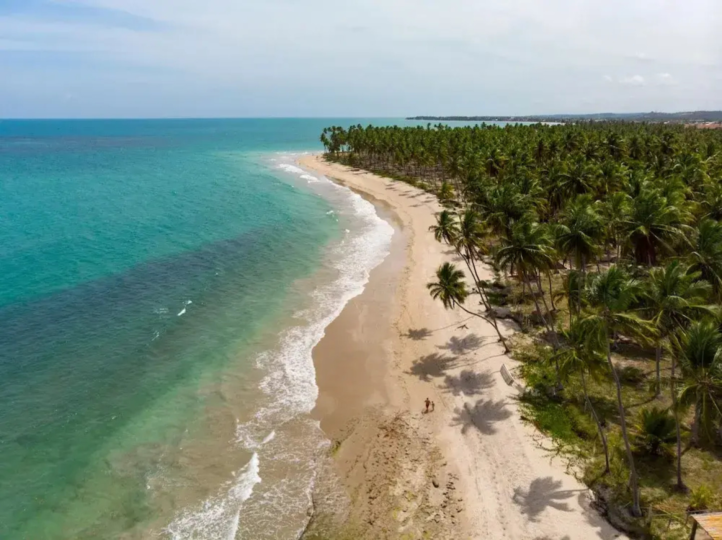 Carneiros Beach Resort - Paraíso Beira Mar