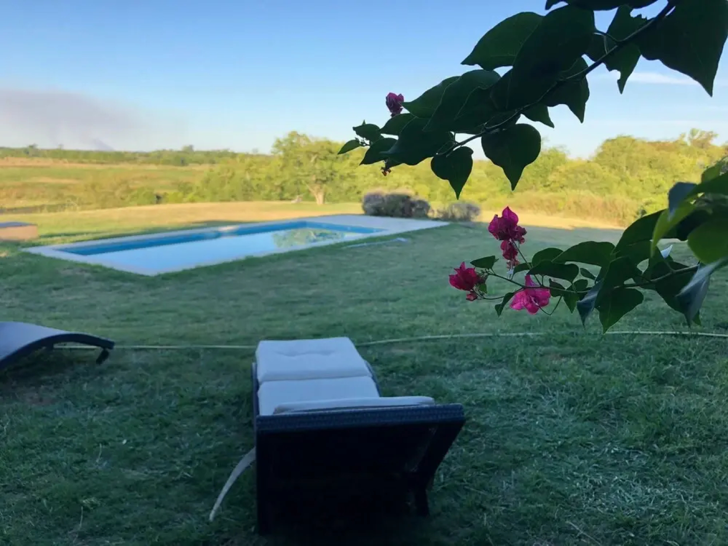 Pura Sangre Chacra