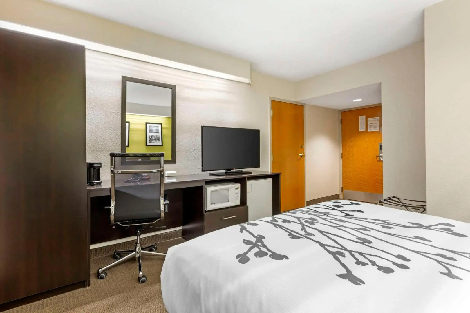 Sleep Inn at Greenville Convention Cente