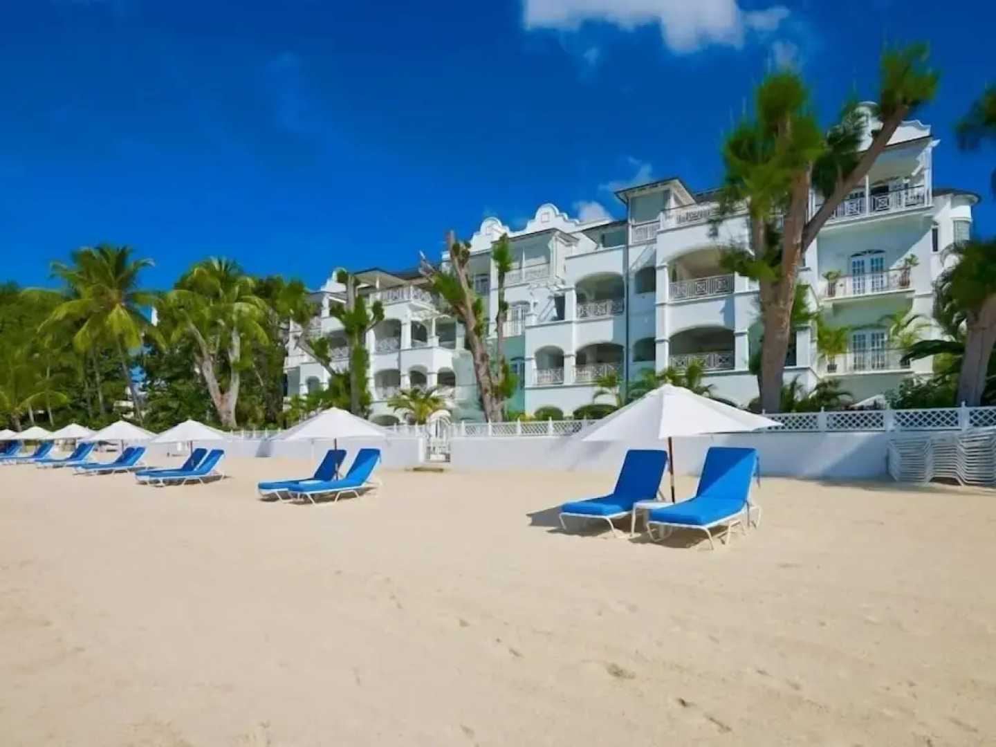 Old Trees 302 - La Mirage