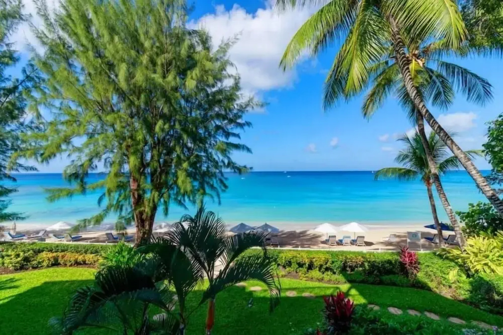 Old Trees 104 - Sunset