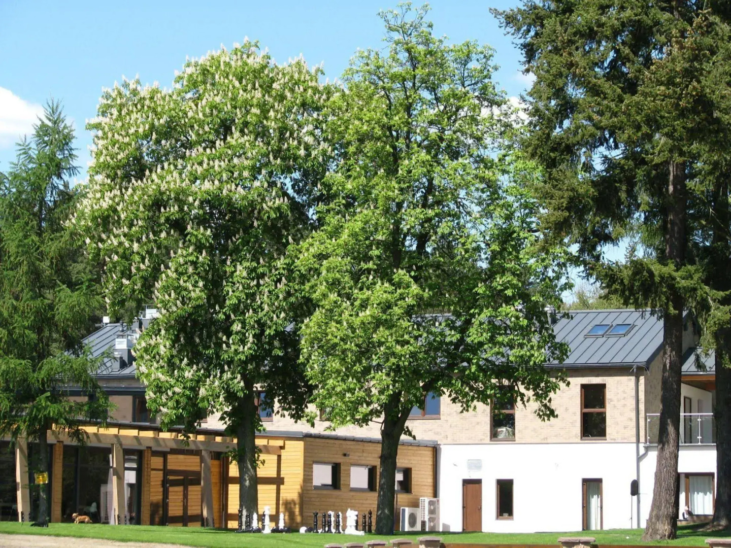 Rezydencja nad jeziorem - Pestkownica