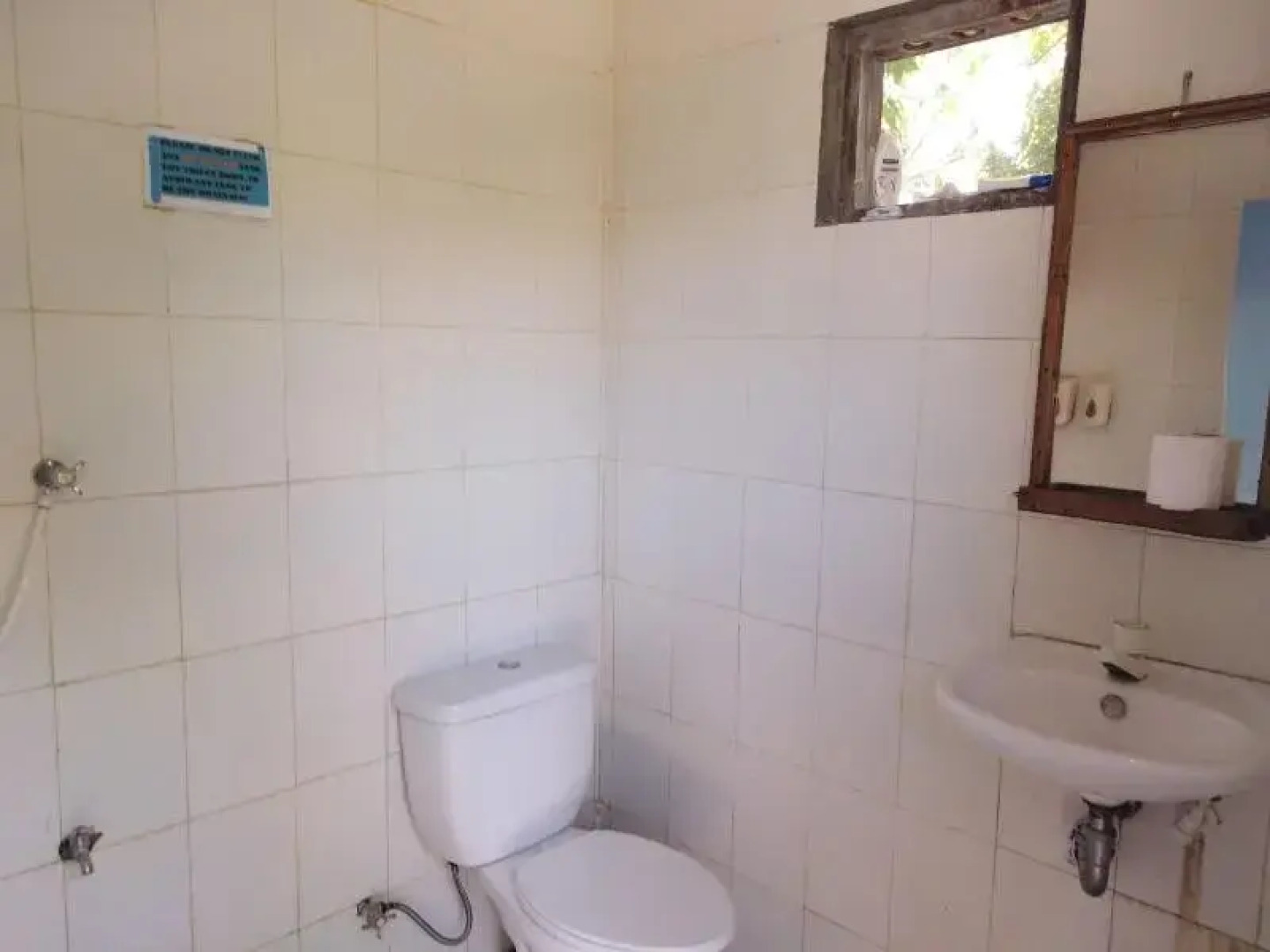 The Sharks Tail Dive Center