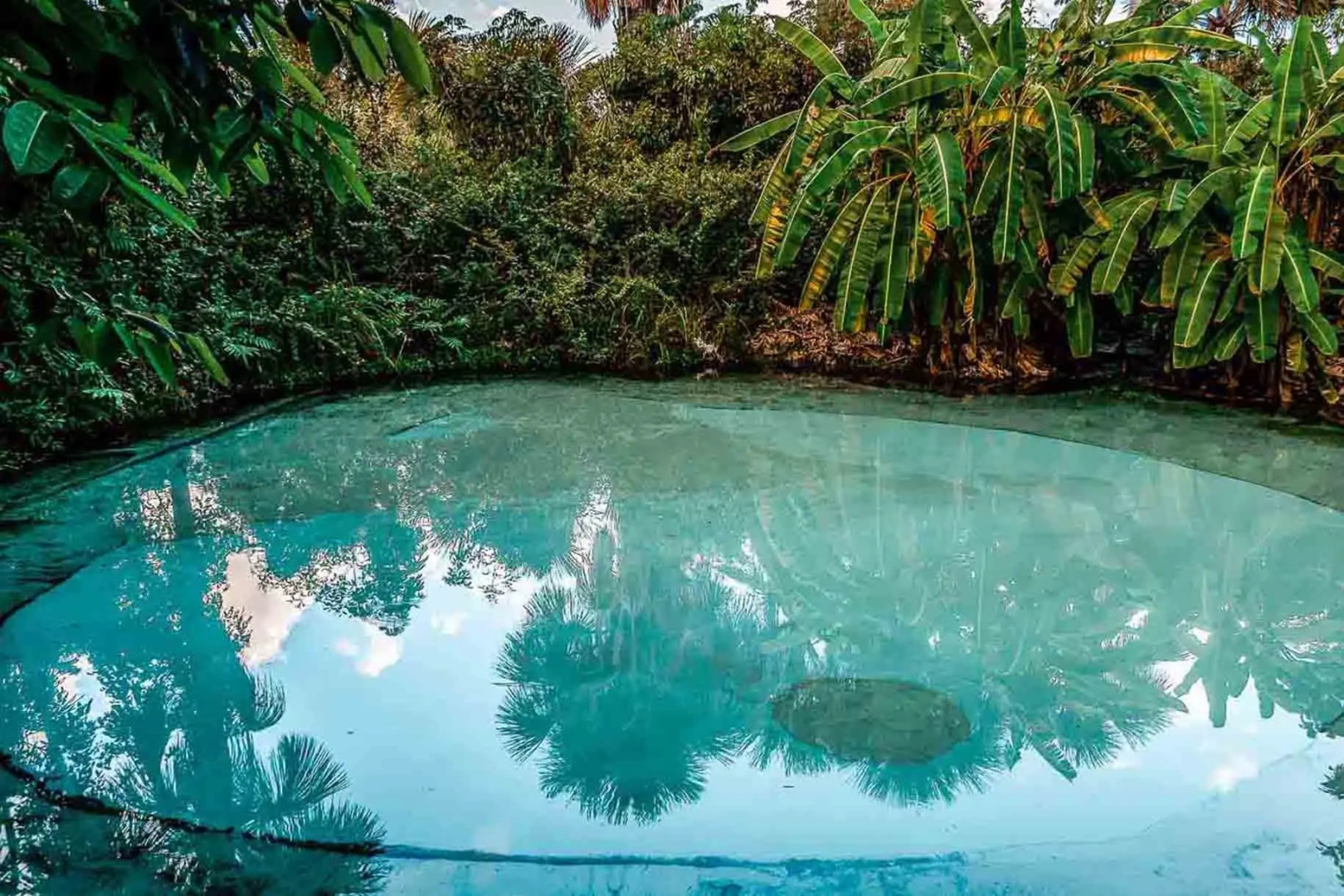 HPlus Premium Palmas