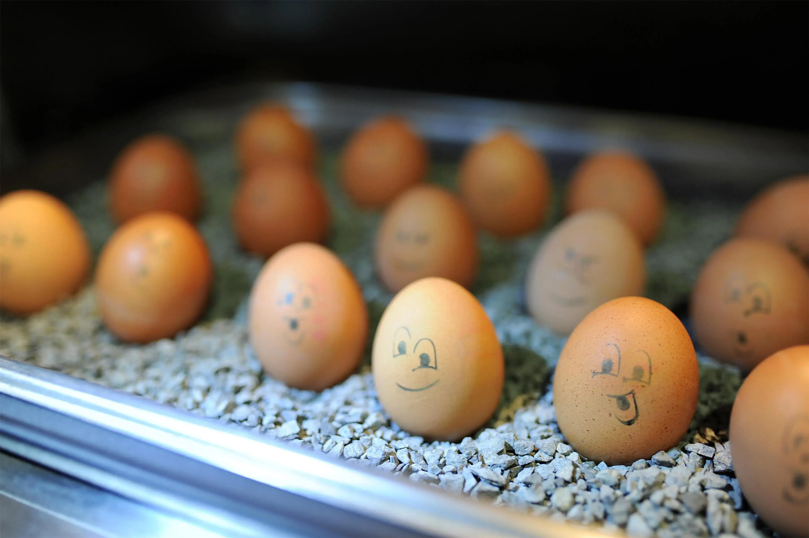 Best Western Plus Kurhotel an der Obermaintherme