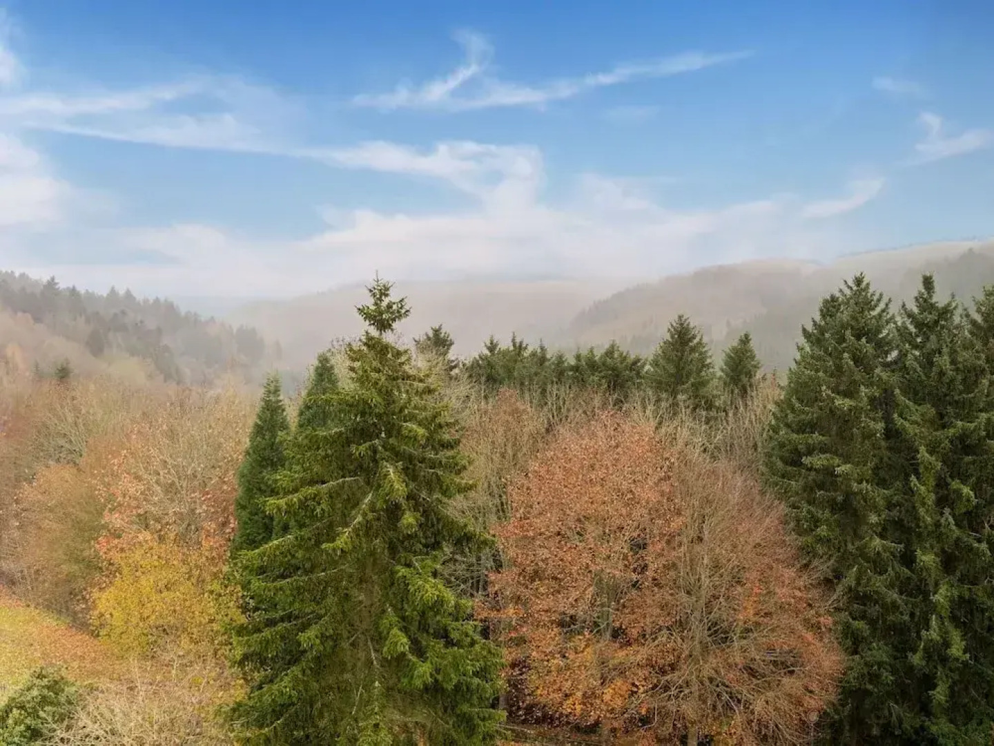 Modern Apartment in Reifferscheid With Garden