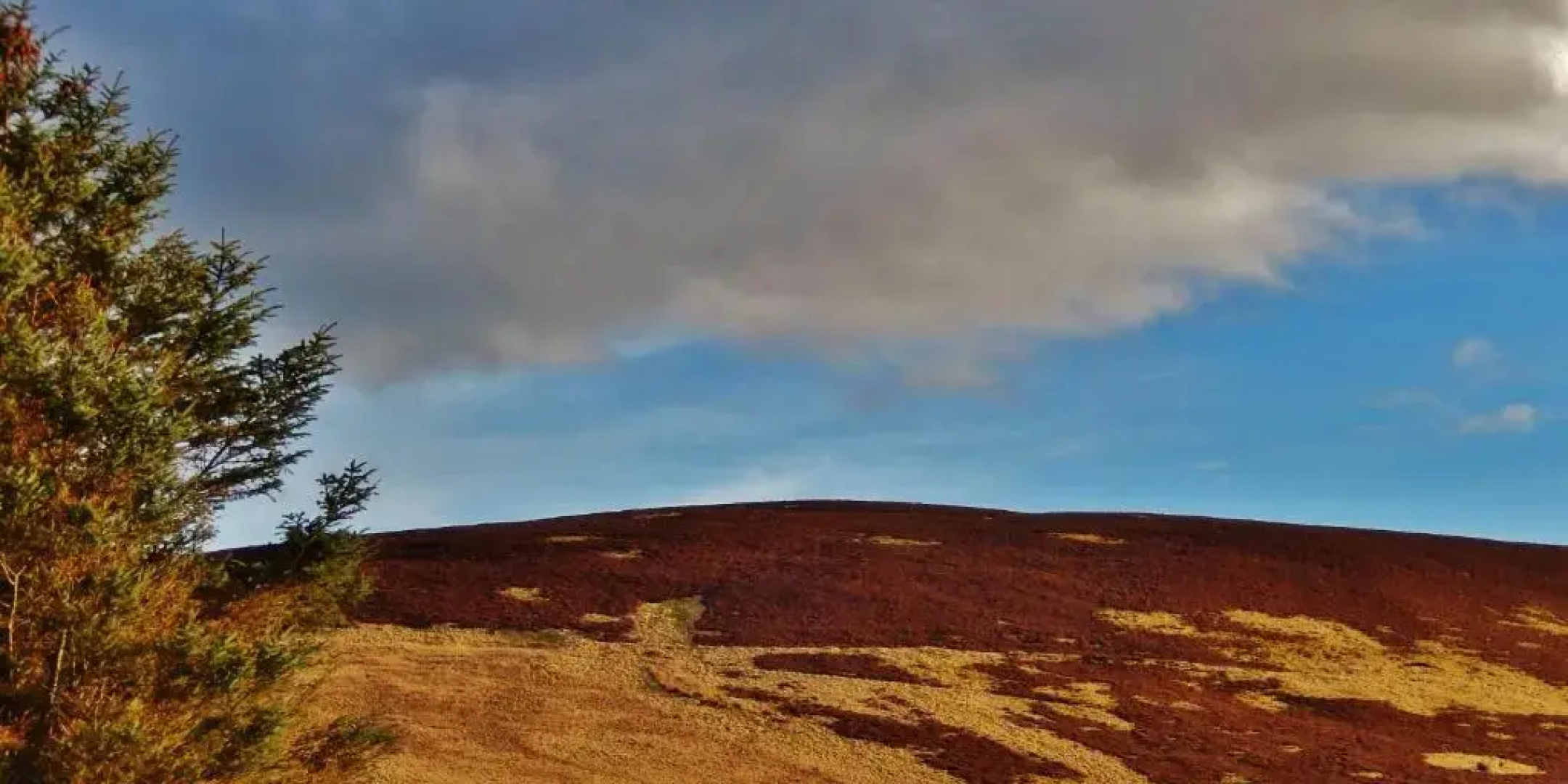 Scotland Shooting Club