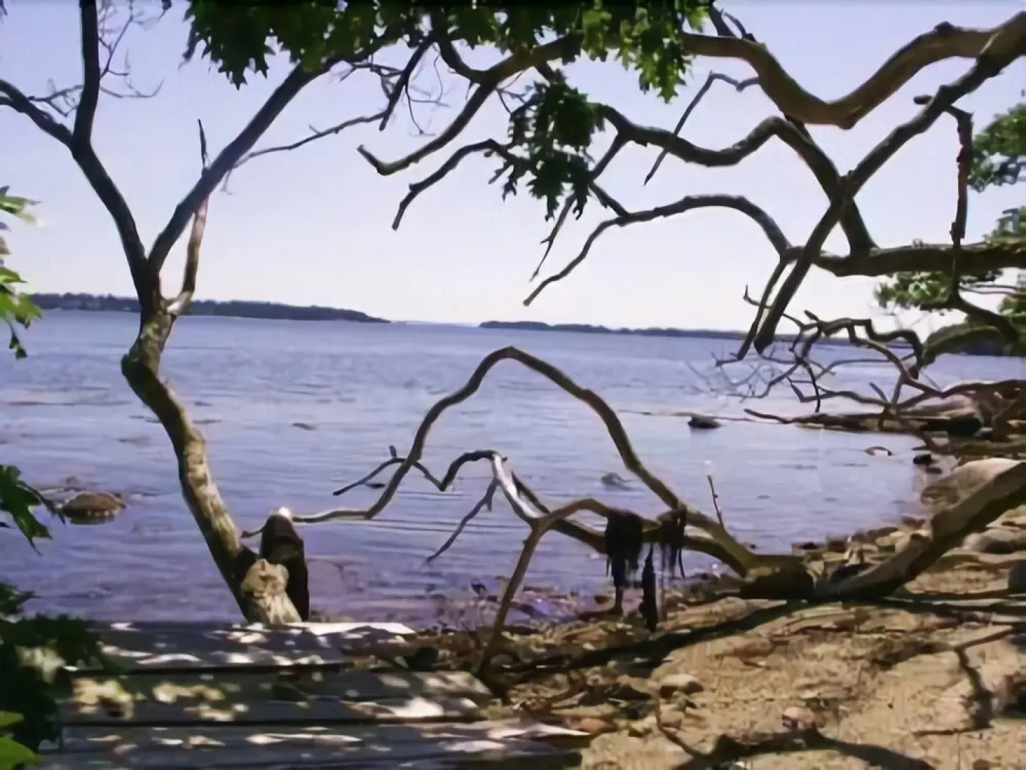 Alberta Lane Cottage - Five Bedroom Home