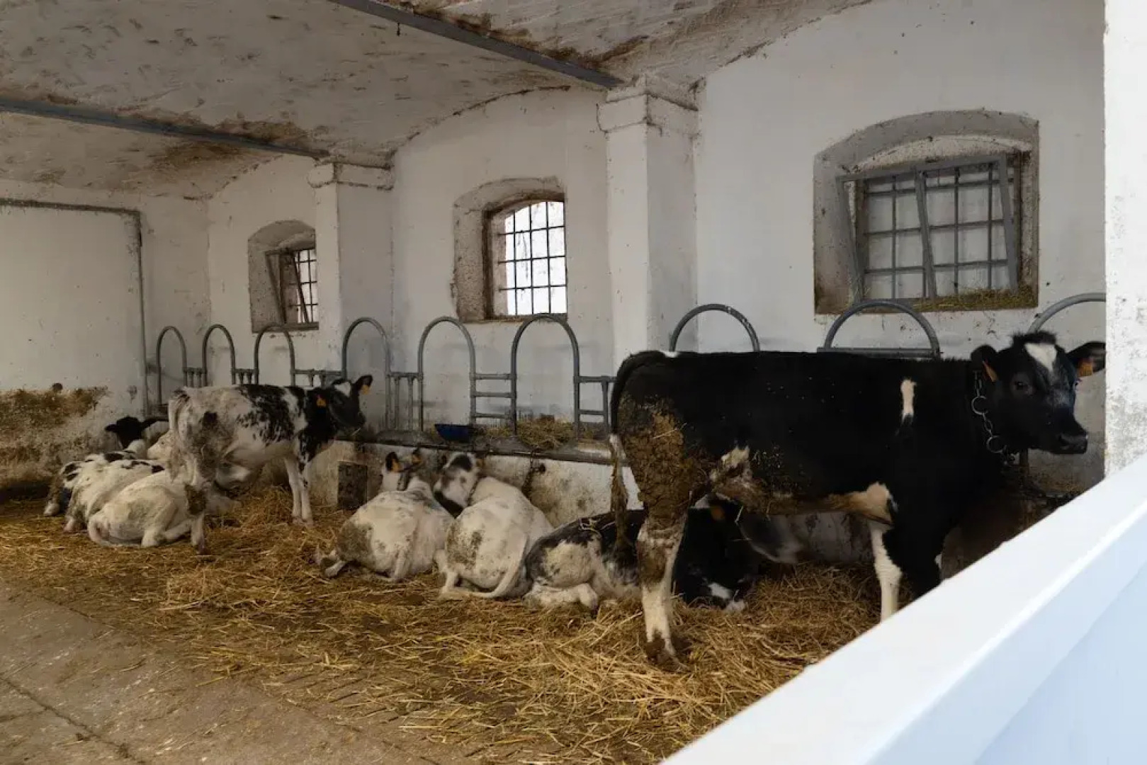 Agriturismo Pozzo Fiorito