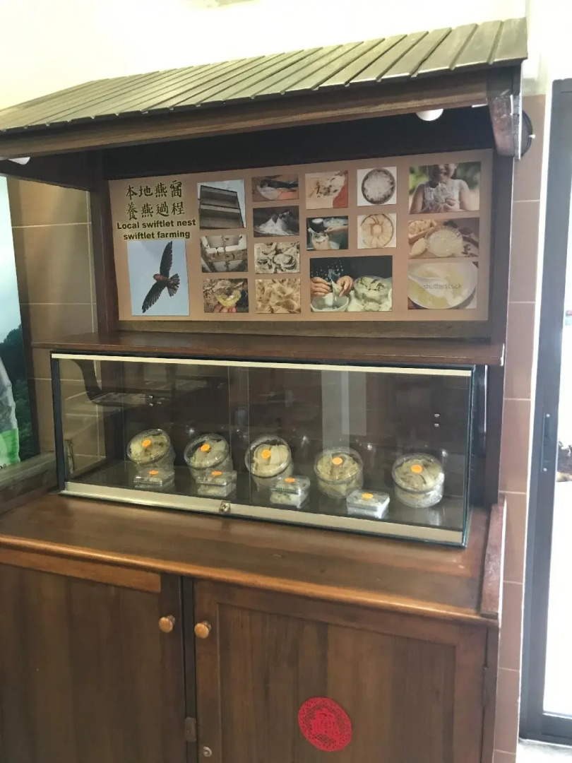 Palm Mansion Boutique Suites