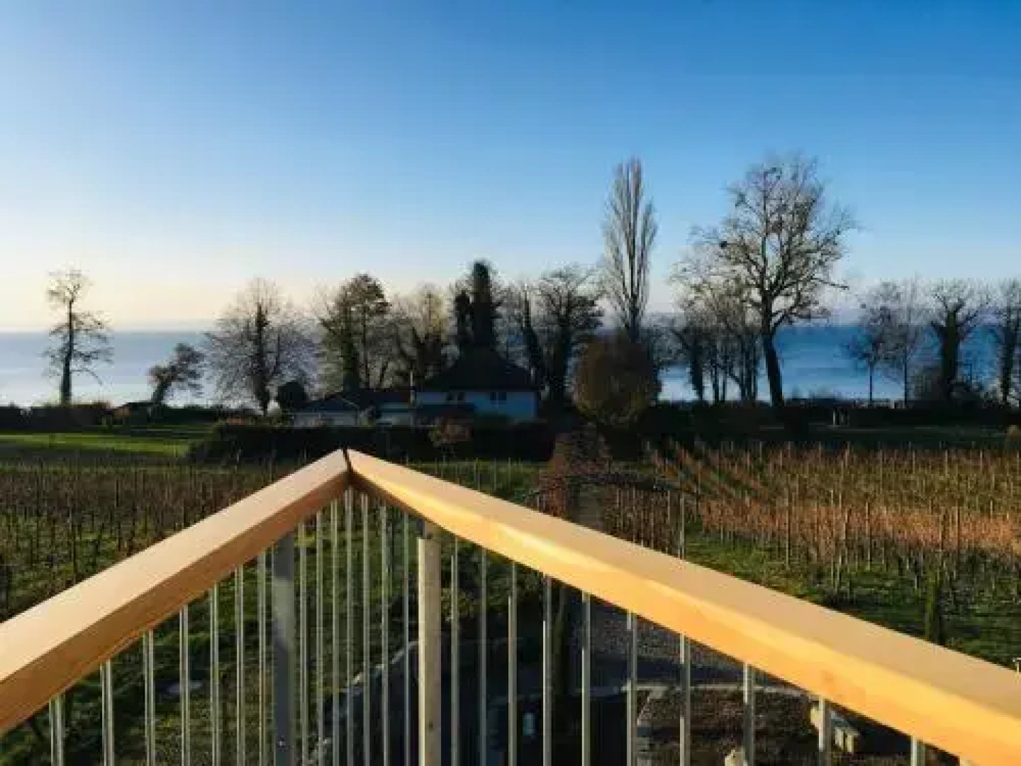 Appartement Hotel Röhrenbach