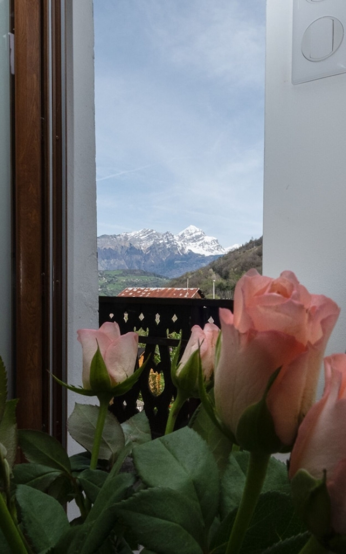 Chalet les Myrtilles