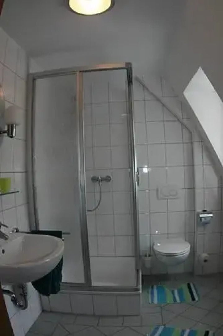 Hotel Zum grünen Baum