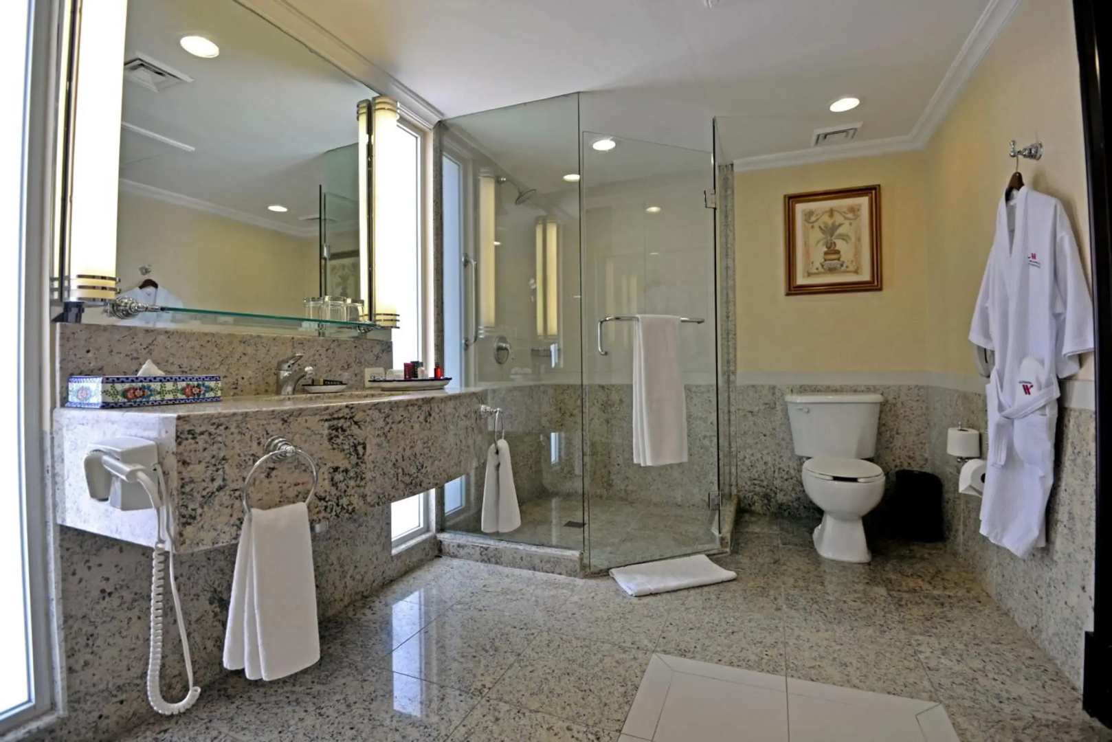Marriott Torreon