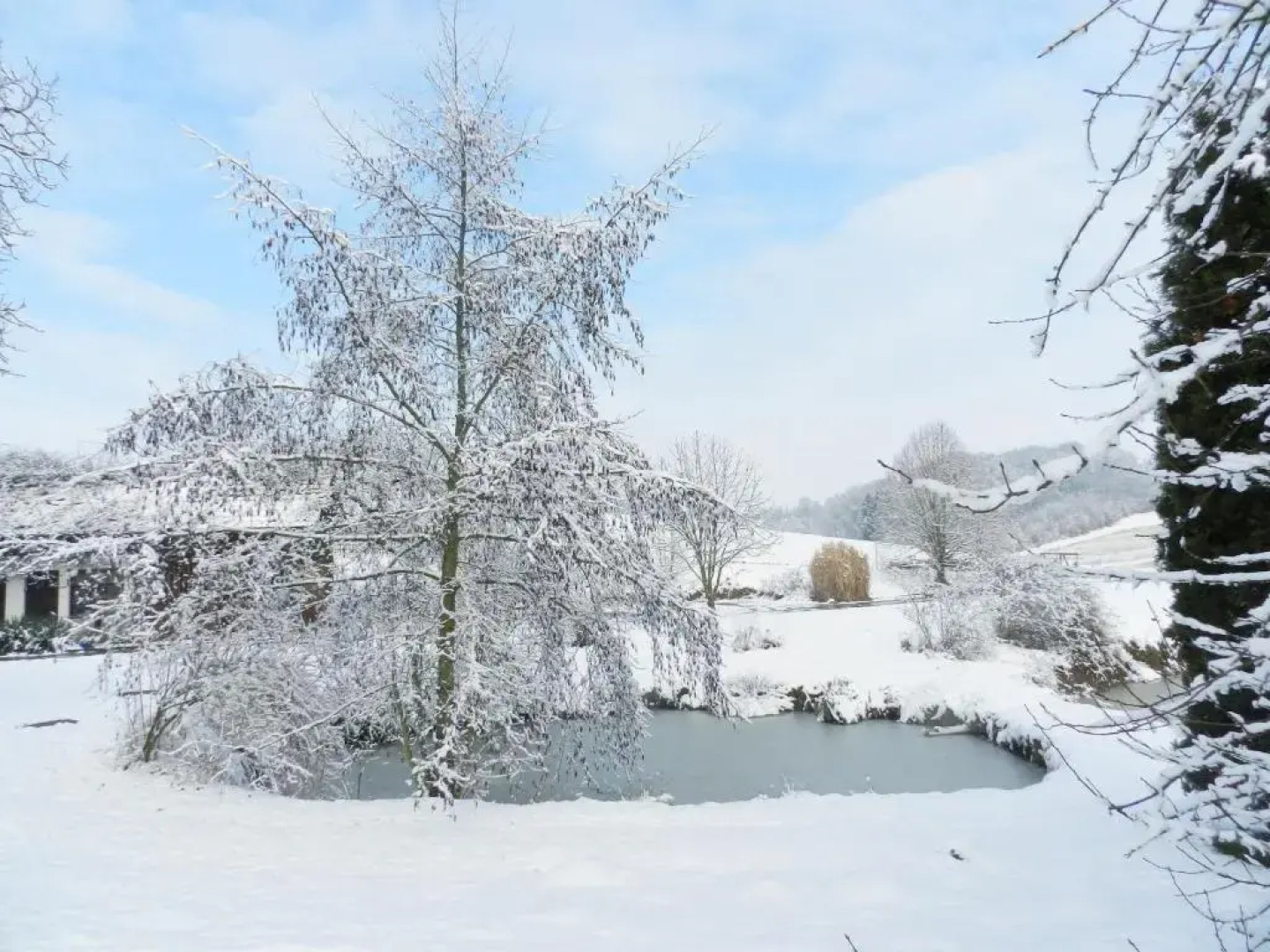 Wampendobler Paradies