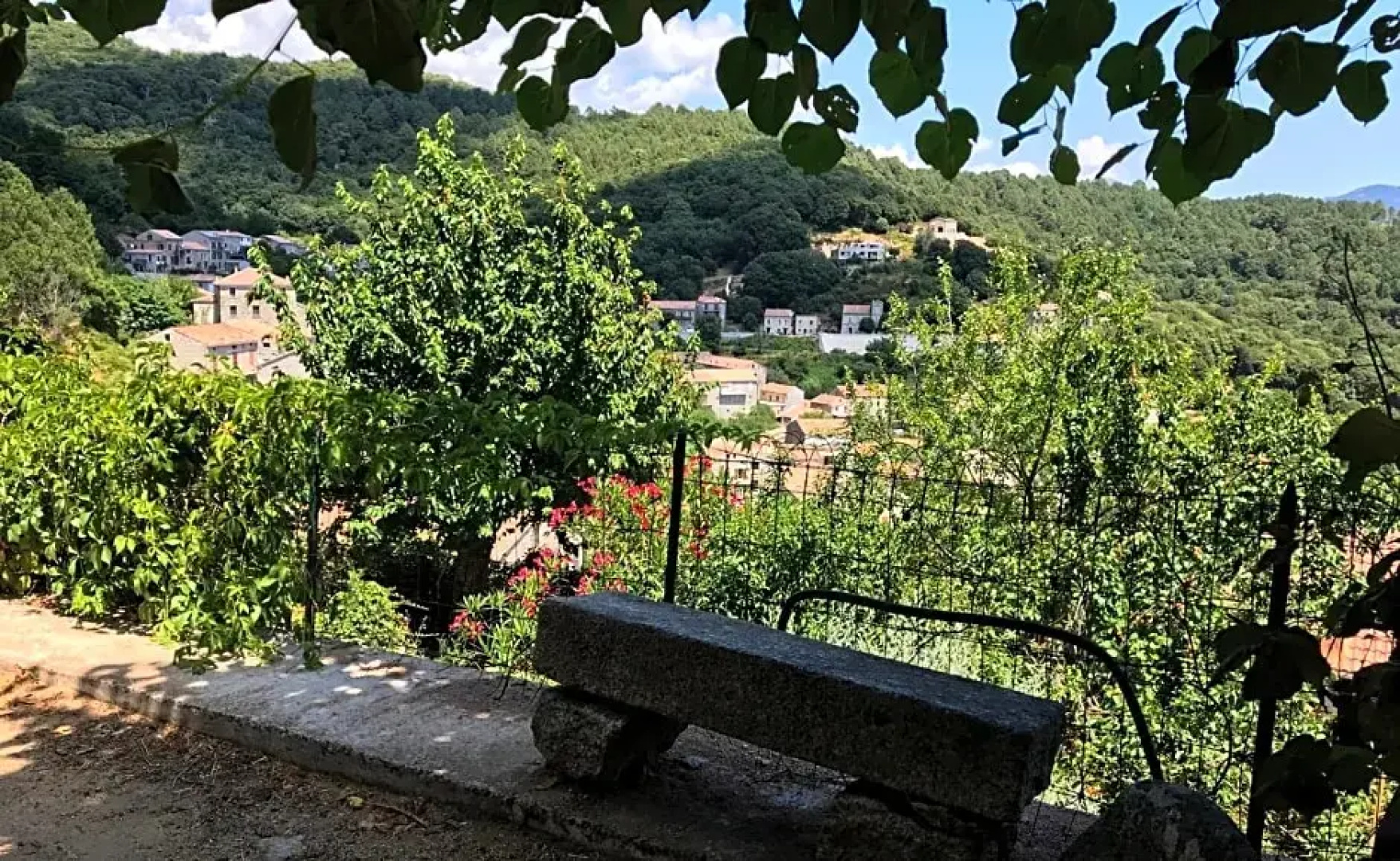 U Fragnu di perruccio