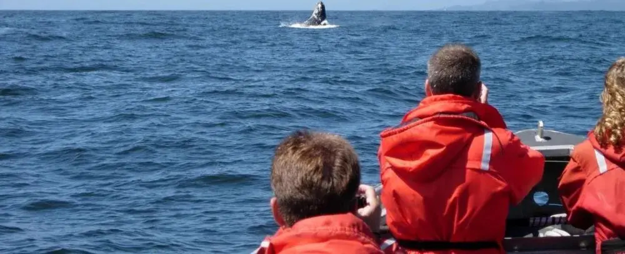 Isaiah Jones Homestead Bed & Breakfast