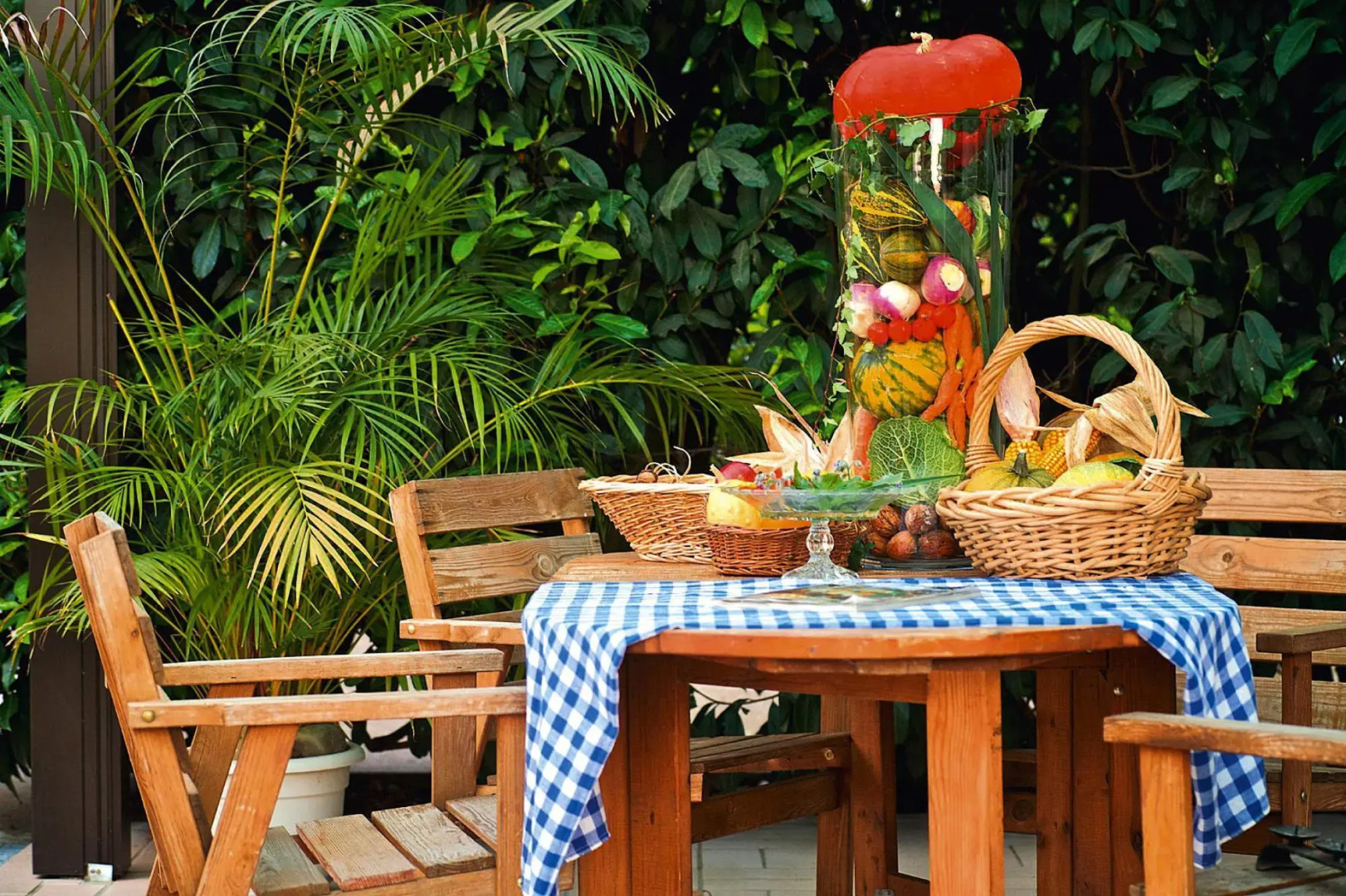 Flat in Alsace Near Vosges Nature Park