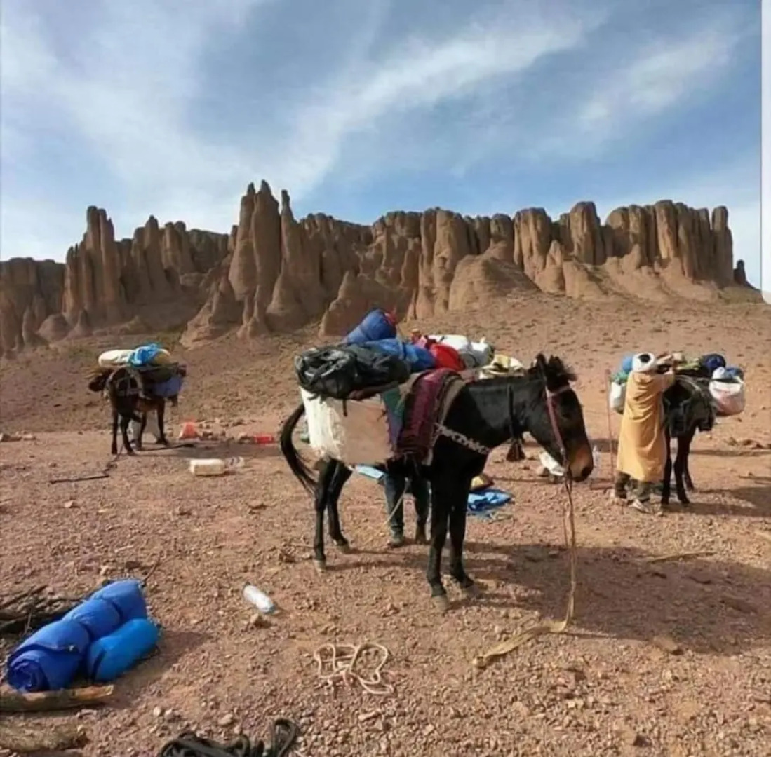 Auberge Kasbah Ennakhile