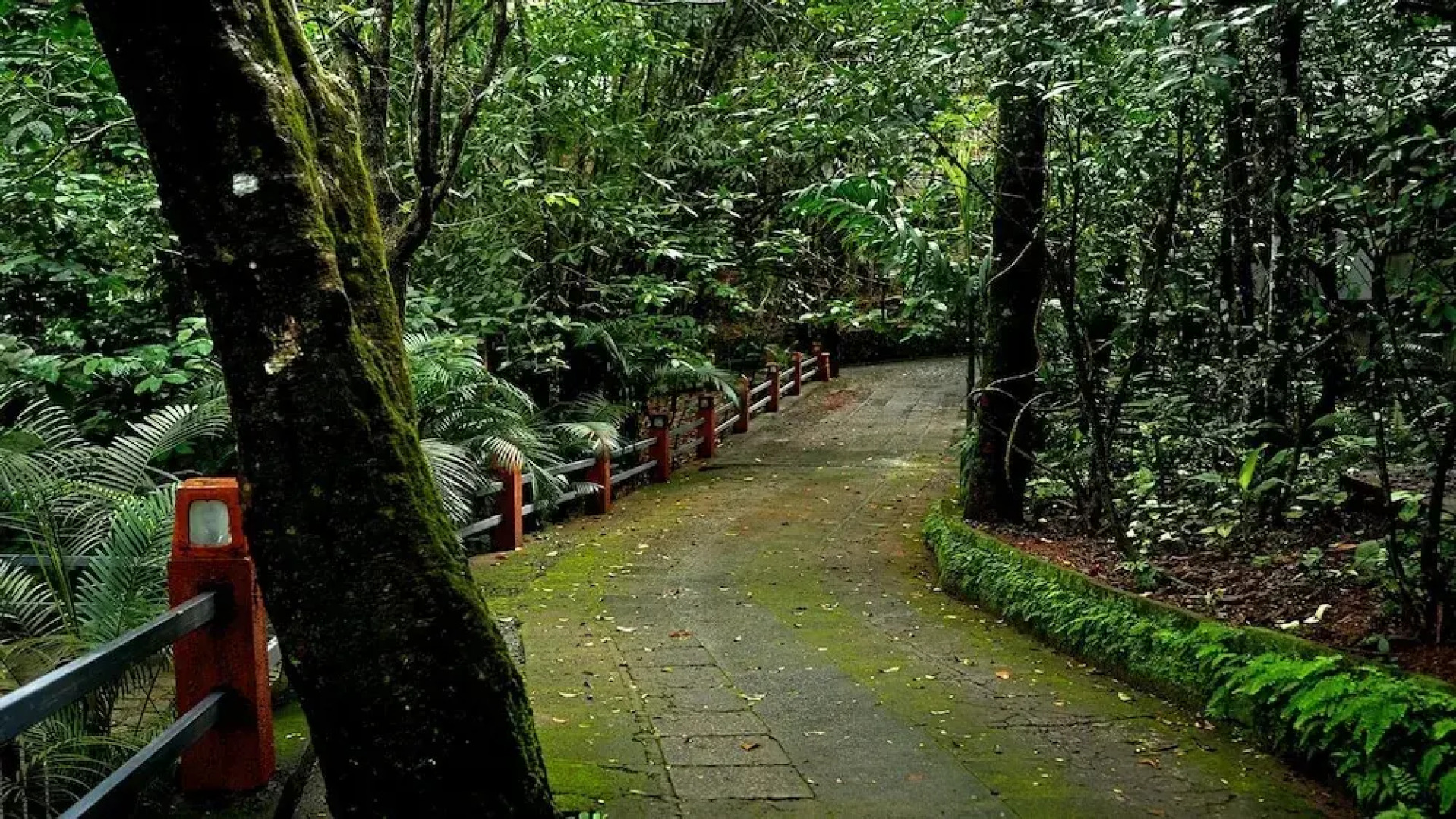 Wayanad Silverwoods Forest Resort & Spa