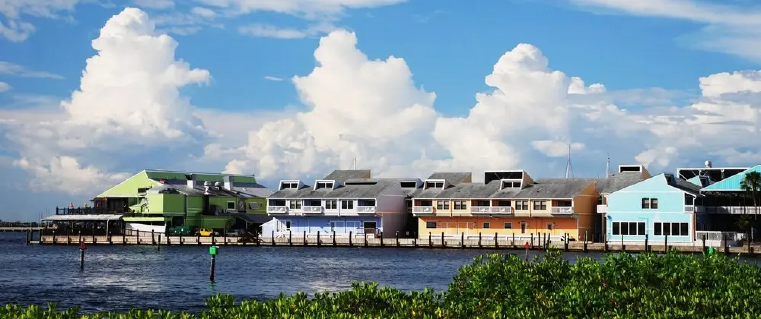 The Pineapple Cottage