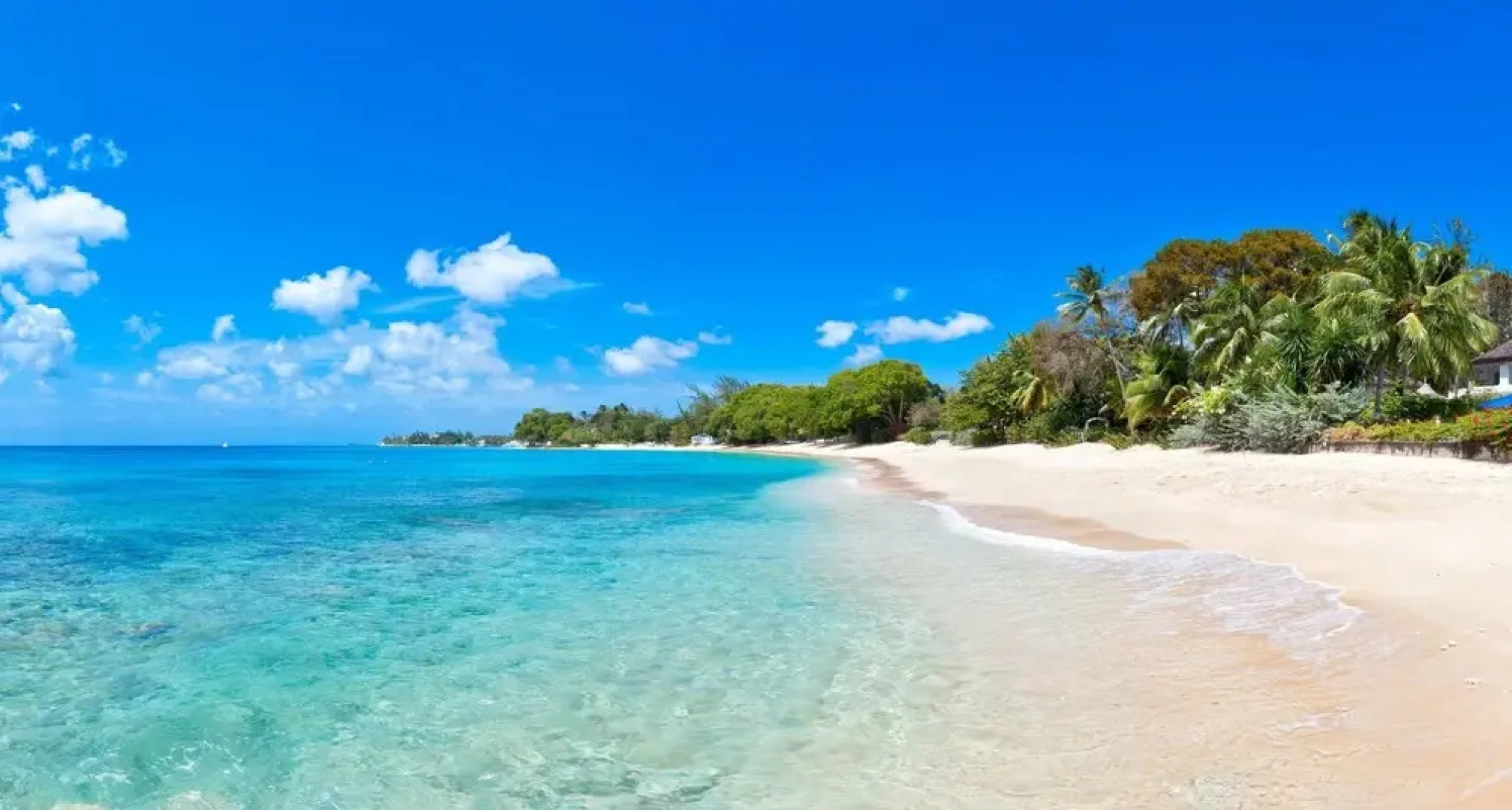 Emerald Beach 4 Plumbago by Altman