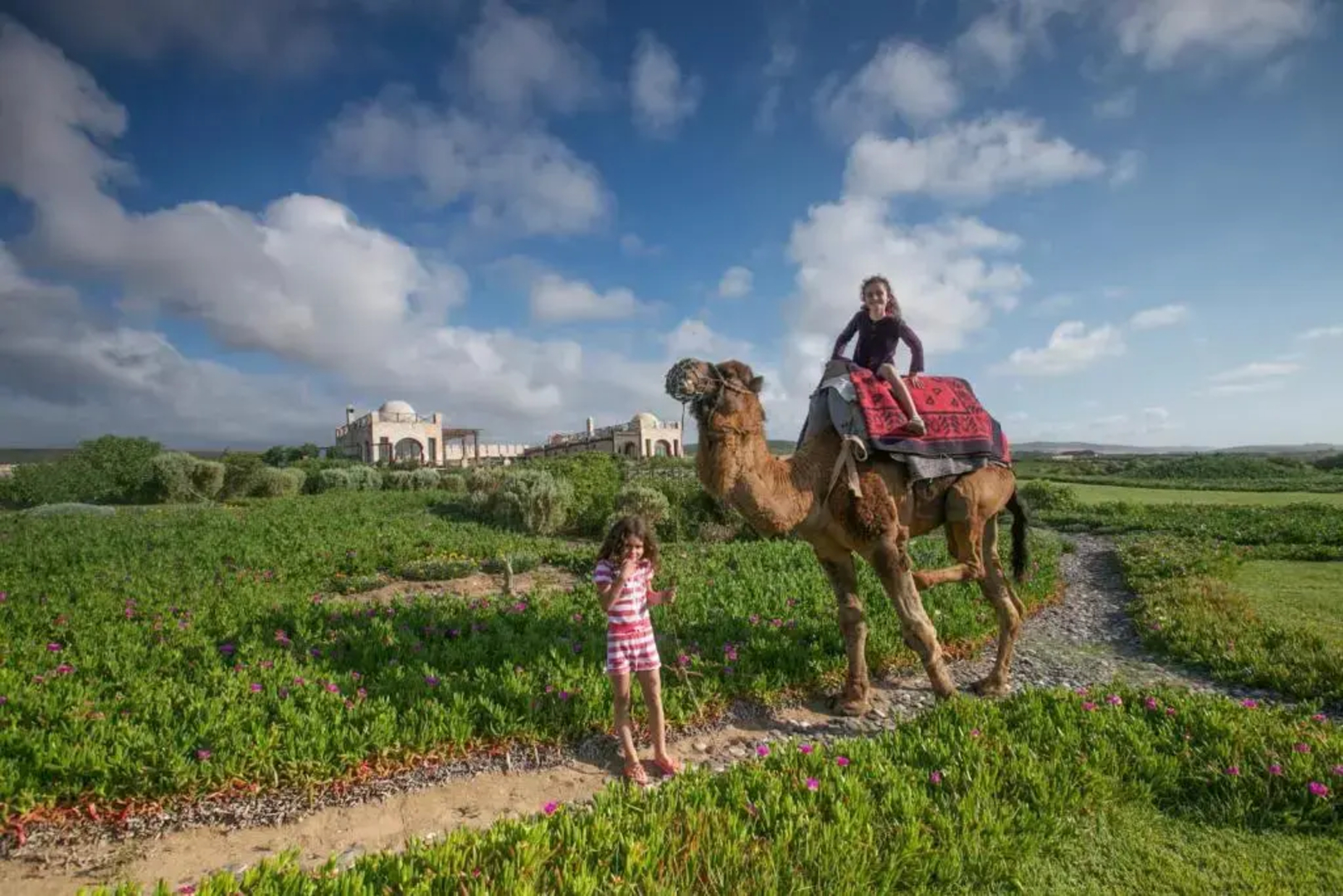 Dar Danse The Bubble On The Beach