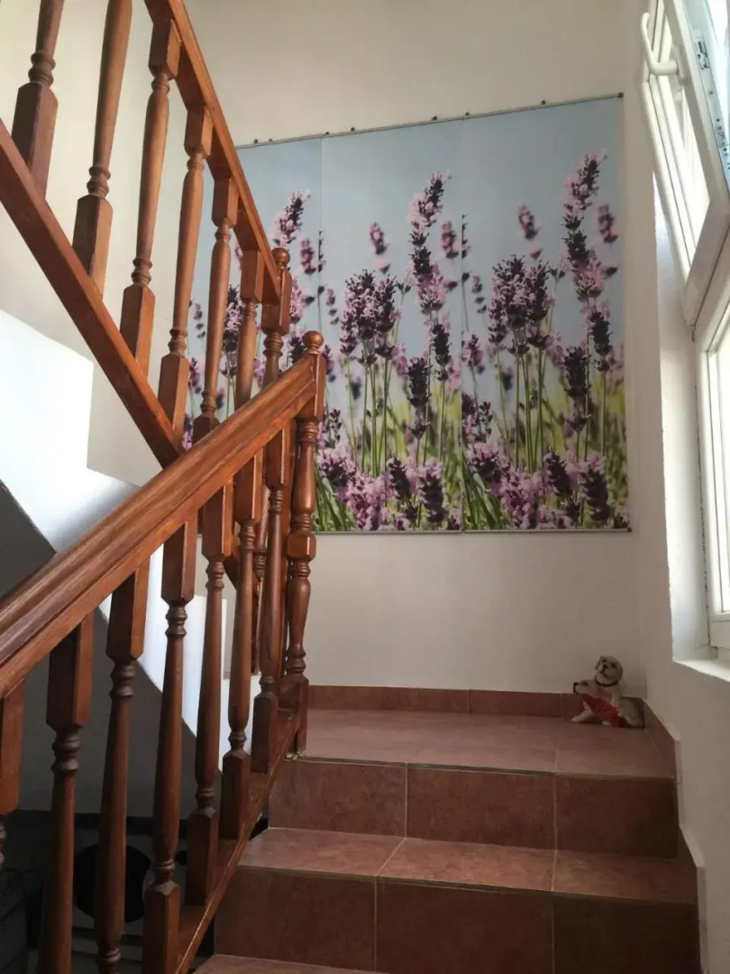 Apartments Villa Dolmar