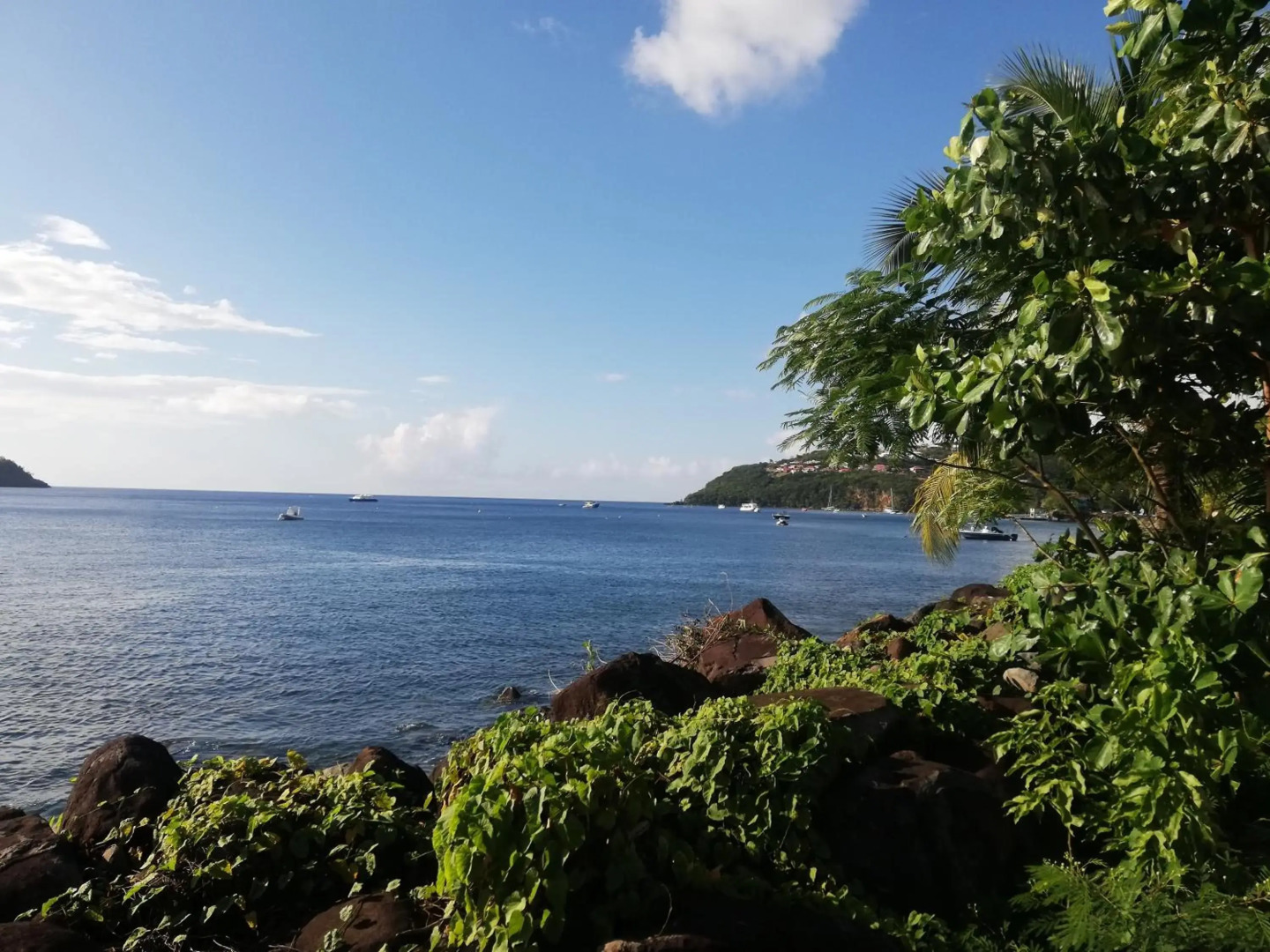 Appartement avec vue sur mer